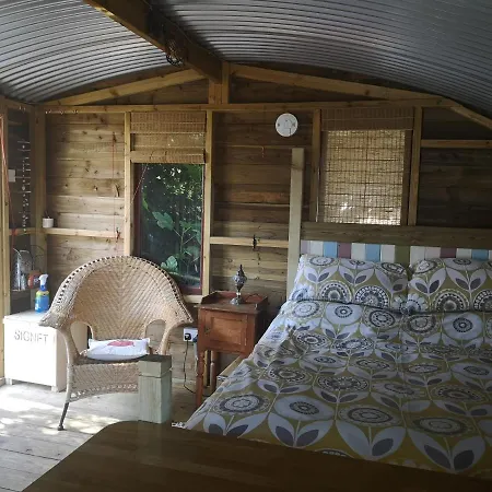 Vakantiehuis Cosy Cabin With Wood Burner Near Beach